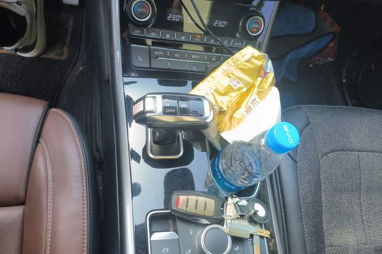 Used Haval H8 2017 2.0T Gasoline Four-Wheel Drive Luxury Model Gear Lever