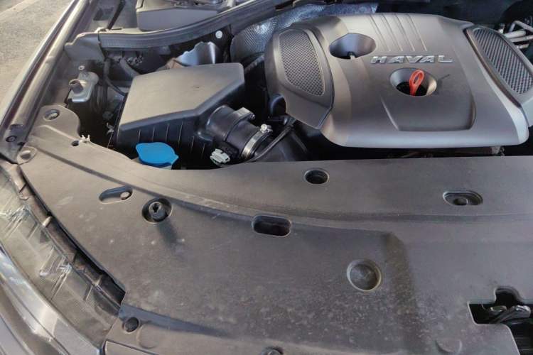 Used Haval H8 2017 2.0T Gasoline Four-Wheel Drive Luxury Model Engine Bay Right