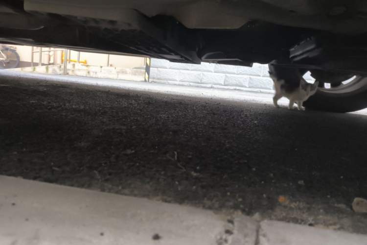 Used Haval H8 2017 2.0T Gasoline Two-Wheel Drive Smart Edition Chassis Front Right