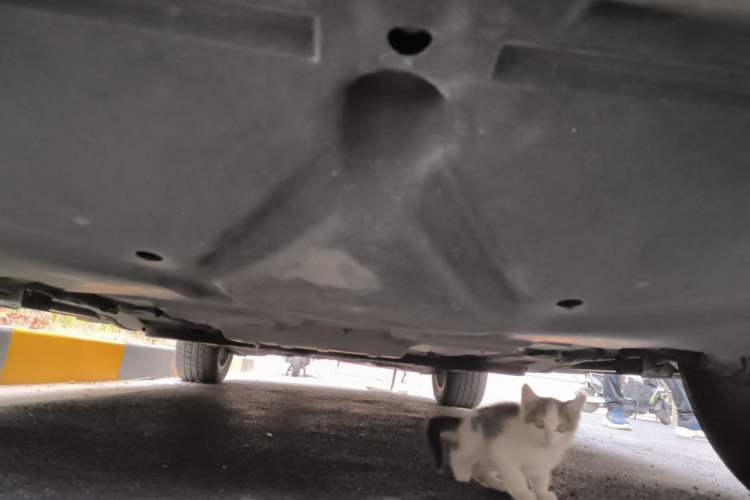 Used Haval H8 2017 2.0T Gasoline Two-Wheel Drive Smart Edition Chassis Front