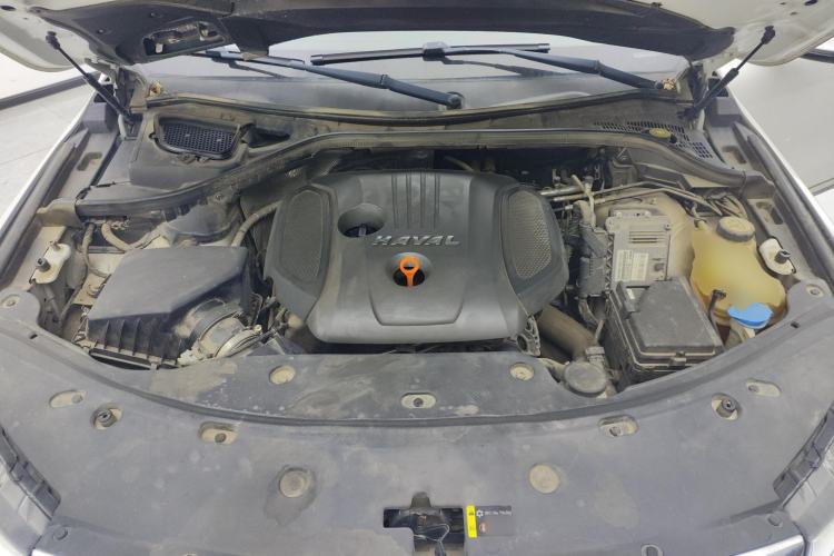 Used Haval H8 2017 2.0T Gasoline Two-Wheel Drive Smart Edition Engine Bay