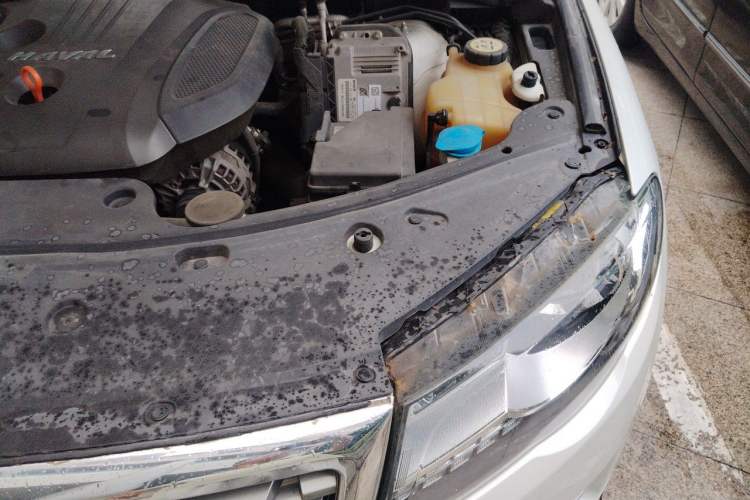 Used Haval H8 2017 2.0T Gasoline 4x4 Smart Enjoyment Version Engine Bay Left