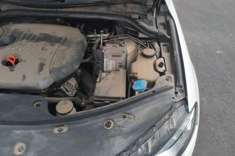 Used Haval H8 2017 2.0T Gasoline Two-Wheel Drive Smart Edition Engine Bay Left