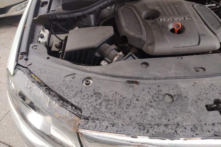 Used Haval H8 2017 2.0T Gasoline 4x4 Smart Enjoyment Version Engine Bay Right