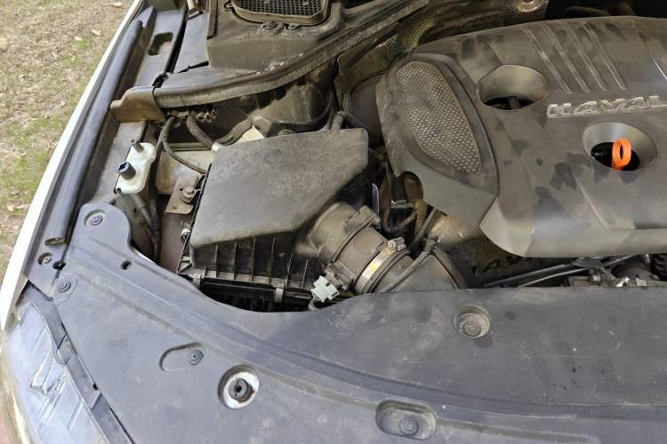 Used Haval H8 2017 2.0T Gasoline Two-Wheel Drive Enjoyment Version Engine Bay Right