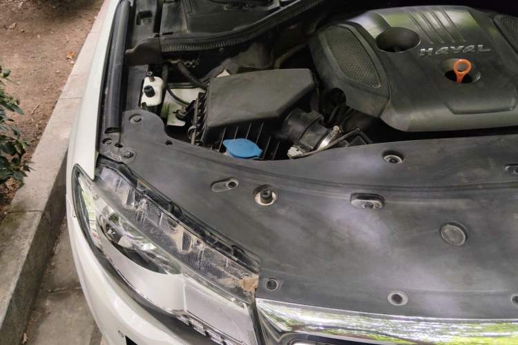 Used Haval H8 2017 2.0T Gasoline Four-Wheel Drive Luxury Model Engine Bay Right