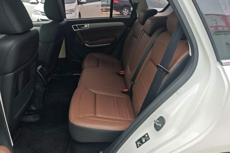 Used Haval H8 2017 2.0T Gasoline Two-Wheel Drive Smart Edition Left Rear Seat