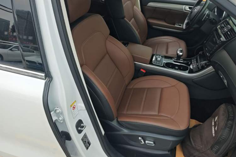 Used Haval H8 2017 2.0T Gasoline Two-Wheel Drive Smart Edition Right Front Seat