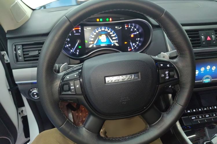 Used Haval H8 2017 2.0T Diesel Two-Wheel Drive Smart Edition Steering Wheel