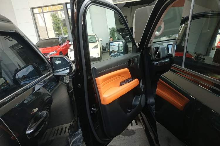 Used Haval H9 2024 2.4T Diesel 4x4 Extreme Edition Left Front Door Interior