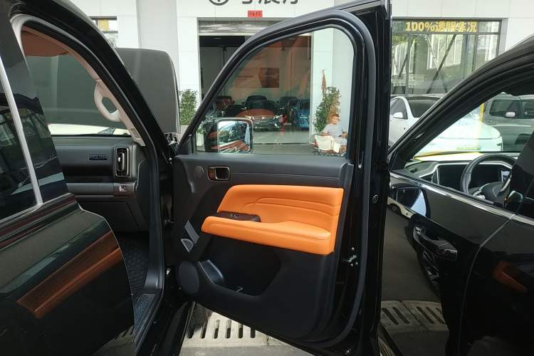 Used Haval H9 2024 2.4T Diesel 4x4 Extreme Edition Right Front Door Interior