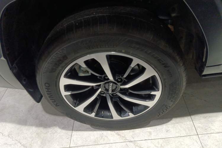 Used Haval H9 2024 2.0T Gasoline All-Wheel-Drive Extreme Edition Exterior 8