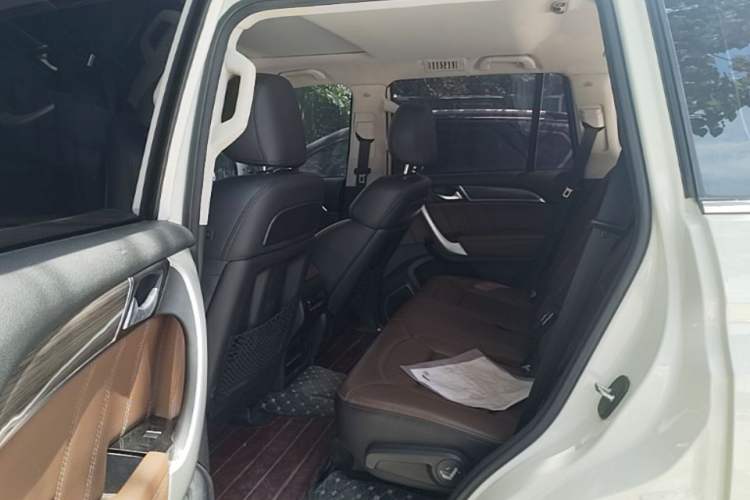 Used Haval H9 2016 2.0T Four-Wheel Drive Luxury Version 5 Seats Left Rear Seat