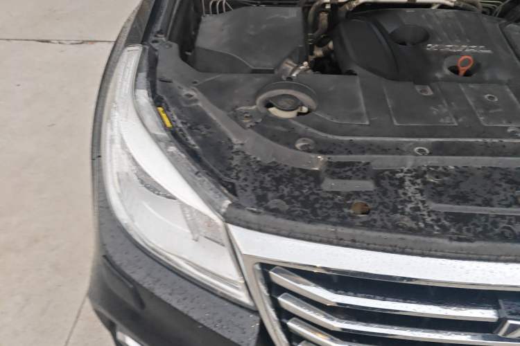 Used Haval H9 2017 2.0T Gasoline 4x4 Luxury 7-Seater Engine Bay Right