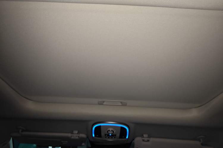Used Haval H9 2017 2.0T Gasoline 4x4 Luxury 7-Seater Headliner