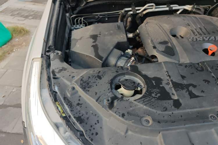 Used Haval H9 2017 2.0T Gasoline 4x4 Luxury 7-Seater Engine Bay Right