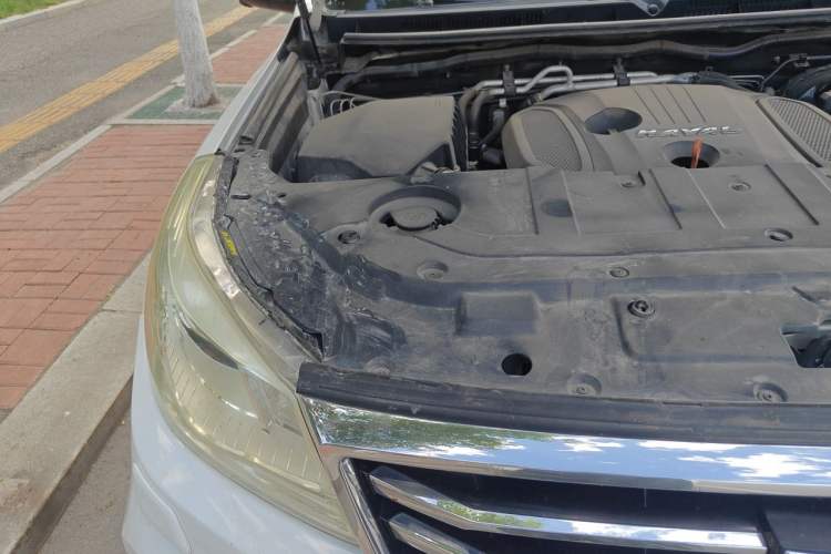Used Haval H9 2017 2.0T Gasoline 4x4 Luxury 7-Seater Engine Bay Right
