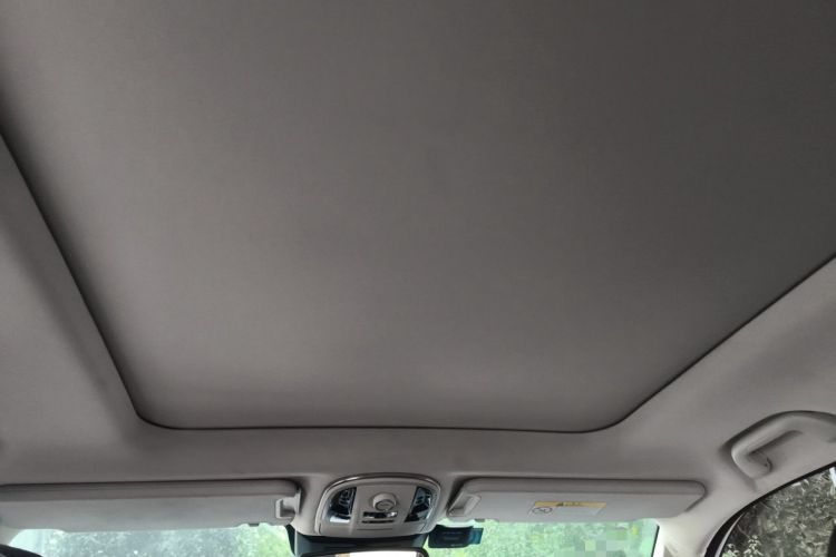 Used Haval H9 2017 2.0T Gasoline 4x4 Premium 5-Seater Headliner