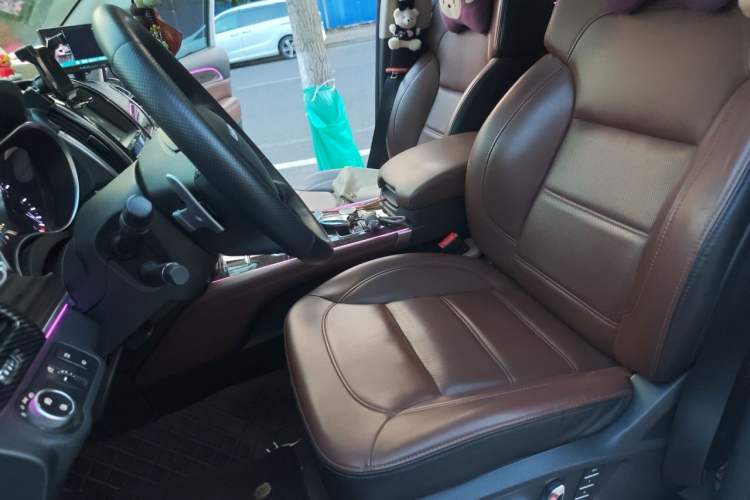 Used Haval H9 2017 2.0T Gasoline 4x4 Luxury 7-Seater Left Front Seat