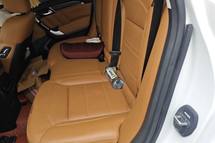 Used Haval H9 2017 2.0T Diesel 4x4 Premium 5-Seater Left Rear Seat