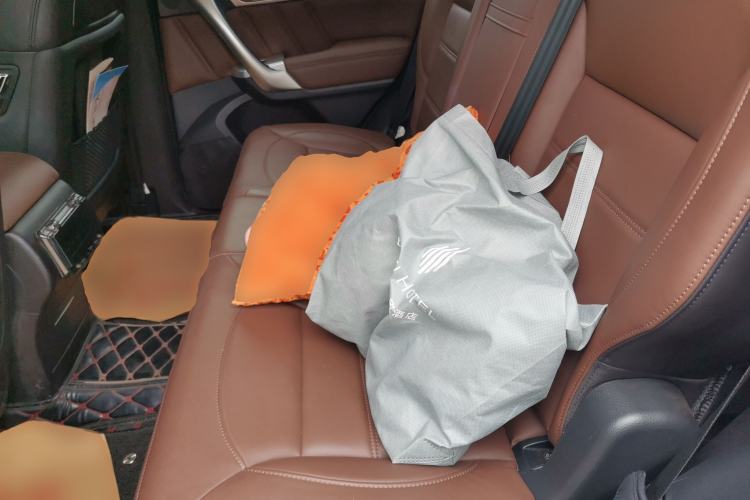 Used Haval H9 2017 2.0T Gasoline 4x4 Luxury 7-Seater Left Rear Seat
