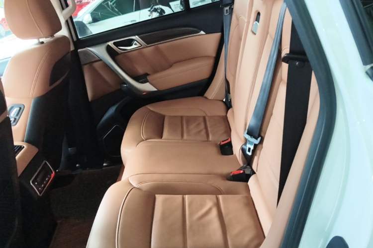 Used Haval H9 2017 2.0T Gasoline 4x4 Premium 5-Seater Left Rear Seat