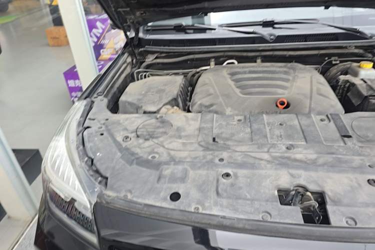 Used Haval H9 2020 2.0T Gasoline 4WD Premium Edition 5 Seats Engine Bay Right