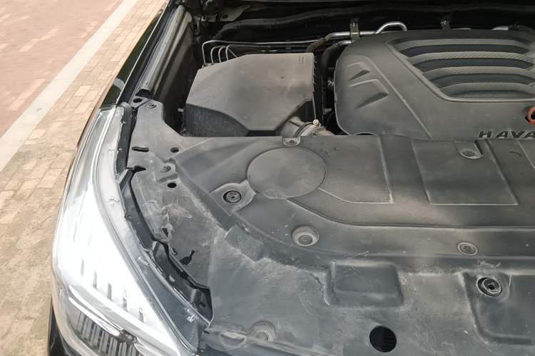 Used Haval H9 2020 2.0T Gasoline 4WD Premium Edition 5 Seats Engine Bay Right