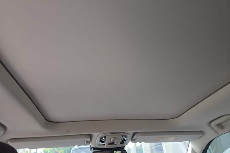 Used Haval H9 2020 2.0T Gasoline 4WD Premium Edition 5 Seats Headliner