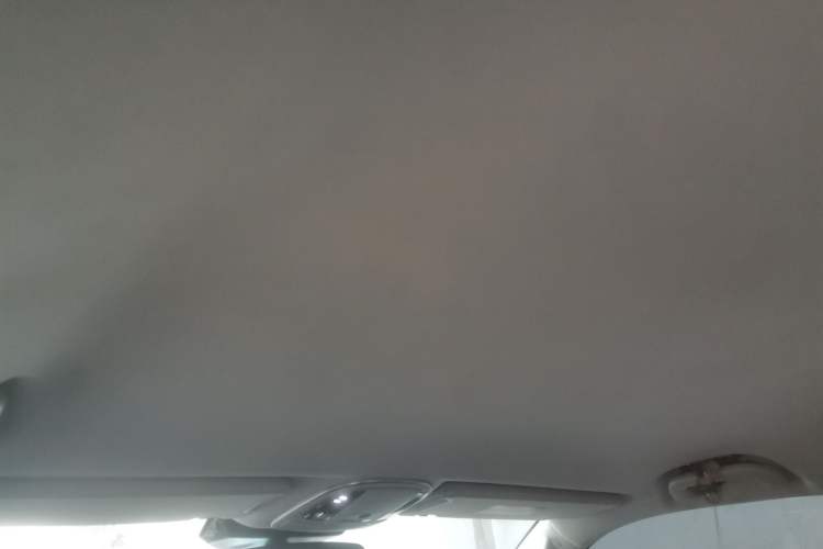Used Haval H9 2020 2.0T Gasoline 4x4 Elite Version 5 Seats Headliner