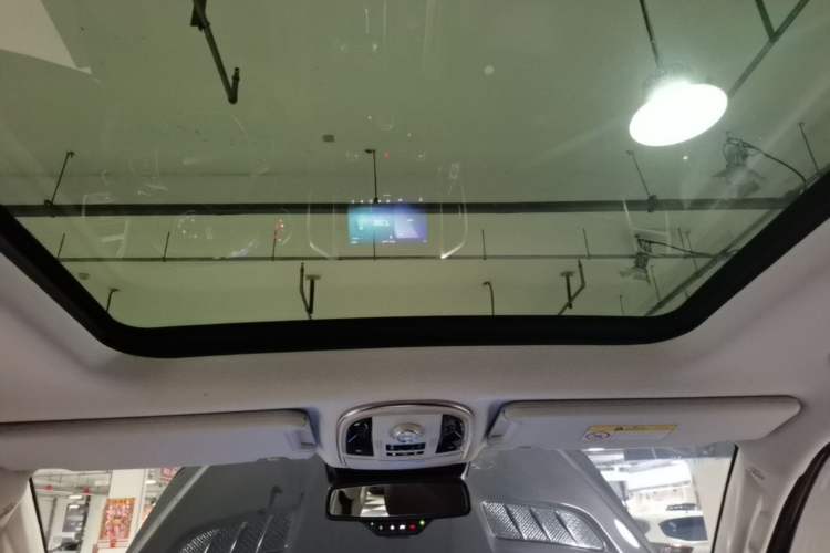 Used Haval H9 2020 2.0T Gasoline 4WD Premium Edition 5 Seats Headliner