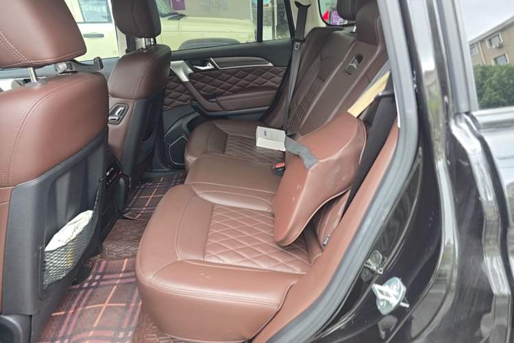 Used Haval H9 2020 2.0T Gasoline 4WD Premium Edition 5 Seats Left Rear Seat