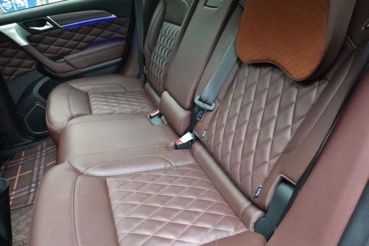 Used Haval H9 2020 2.0T Gasoline 4WD Premium Edition 5 Seats Left Rear Seat