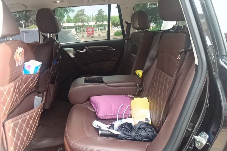 Used Haval H9 2020 2.0T Gasoline 4WD Premium Edition 5 Seats Left Rear Seat