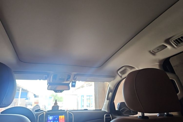 Used Haval H9 2020 2.0T Gasoline 4WD Premium Edition 5 Seats Headliner