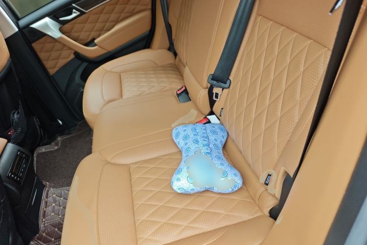 Used Haval H9 2020 2.0T Gasoline 4WD Premium Edition 5 Seats Left Rear Seat