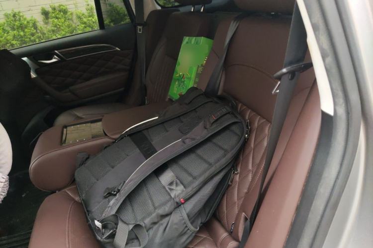 Used Haval H9 2020 2.0T Gasoline 4WD Premium Edition 5 Seats Left Rear Seat