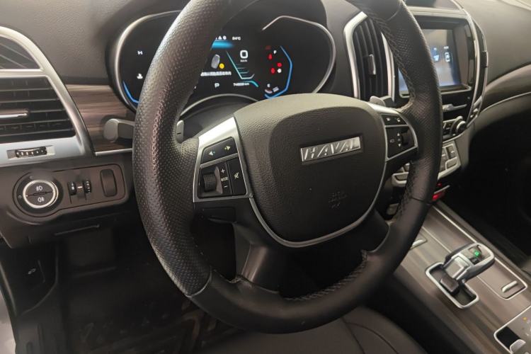 Used Haval H9 2020 2.0T Gasoline 4x4 Elite Version 5 Seats Steering Wheel