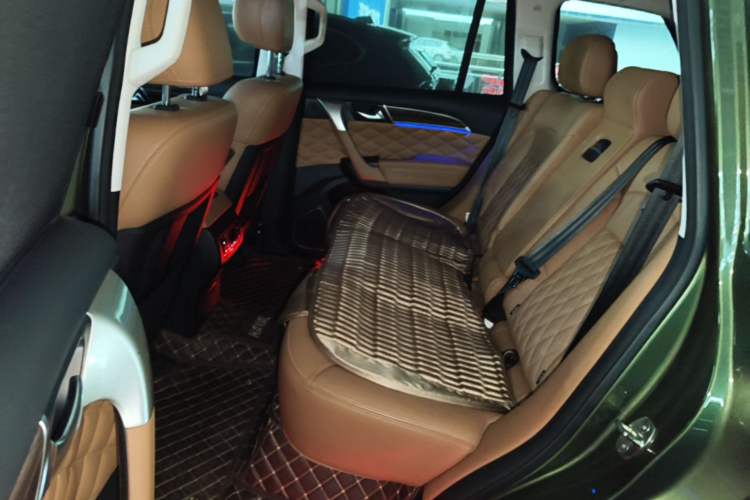 Used Haval H9 2020 2.0T Gasoline 4WD Premium Edition 5 Seats Left Rear Seat