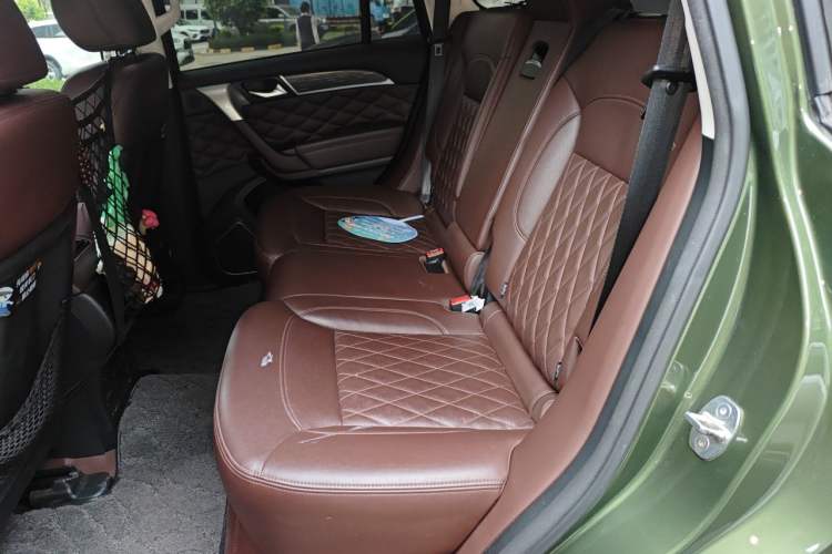 Used Haval H9 2020 2.0T Gasoline 4WD Premium Edition 5 Seats Left Rear Seat