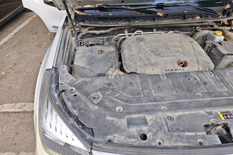 Used Haval H9 2020 2.0T Gasoline 4x4 Elite Version 5 Seats Engine Bay Right