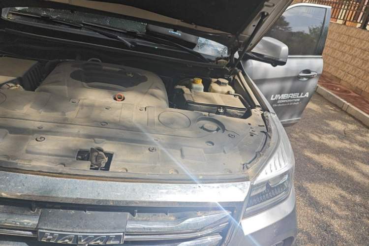 Used Haval H9 2020 2.0T Gasoline 4WD Premium Edition 5 Seats Engine Bay Left