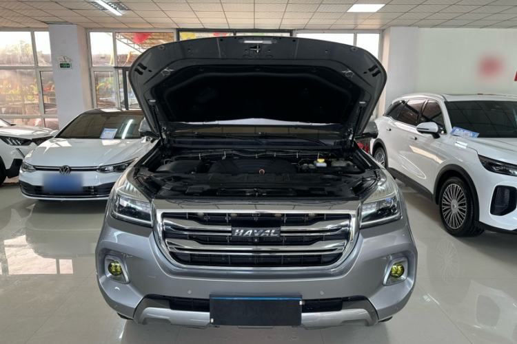 Used Haval H9 2020 2.0T Gasoline 4WD Premium Edition 5 Seats Exterior 12