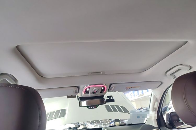 Used Haval H9 2020 2.0T Gasoline 4x4 Luxury 7-Seater Headliner