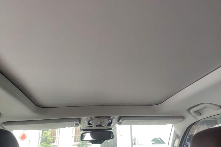 Used Haval H9 2020 2.0T Gasoline 4WD Premium Edition 5 Seats Headliner