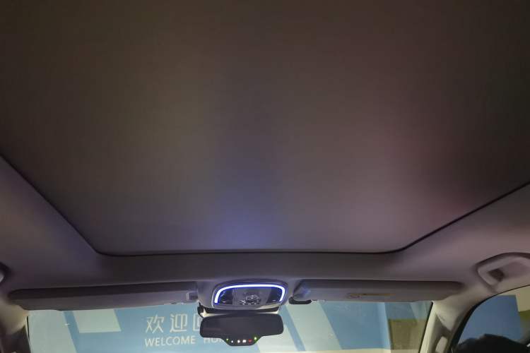Used Haval H9 2020 2.0T Gasoline 4WD Premium Edition 5 Seats Headliner