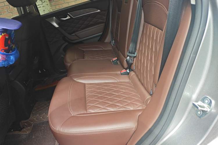 Used Haval H9 2020 2.0T Gasoline 4WD Premium Edition 5 Seats Left Rear Seat
