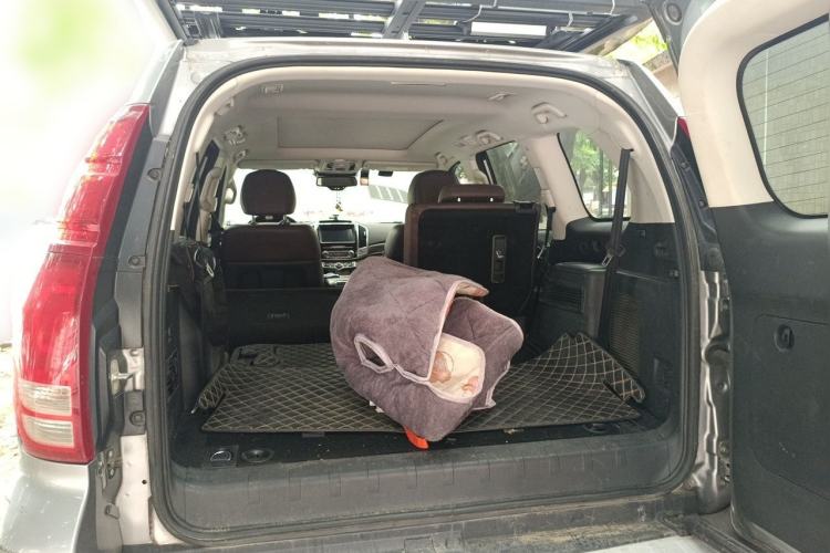 Used Haval H9 2020 2.0T Gasoline 4x4 Luxury 7-Seater Trunk