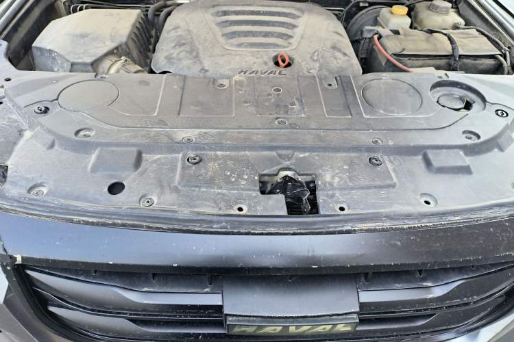 Used Haval H9 2020 2.0T Gasoline 4WD Premium Edition 5 Seats Engine Bay