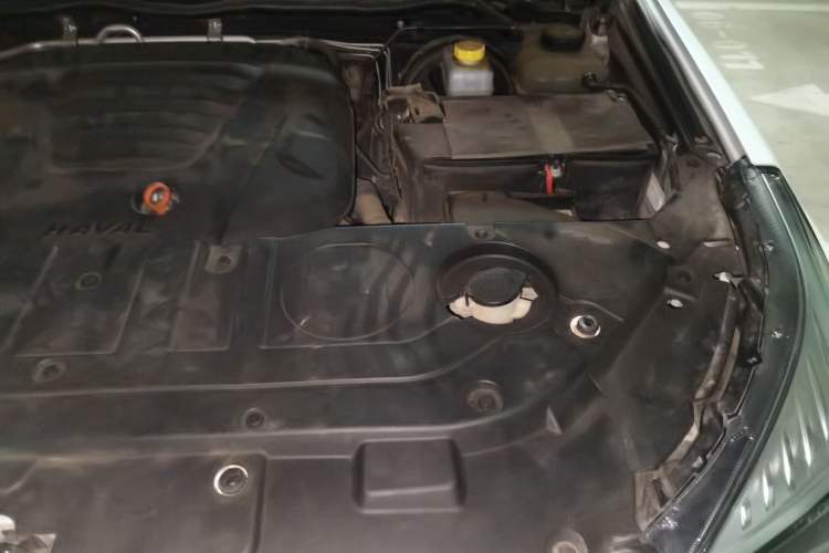 Used Haval H9 2020 2.0T Gasoline 4WD Premium Edition 5 Seats Engine Bay Left